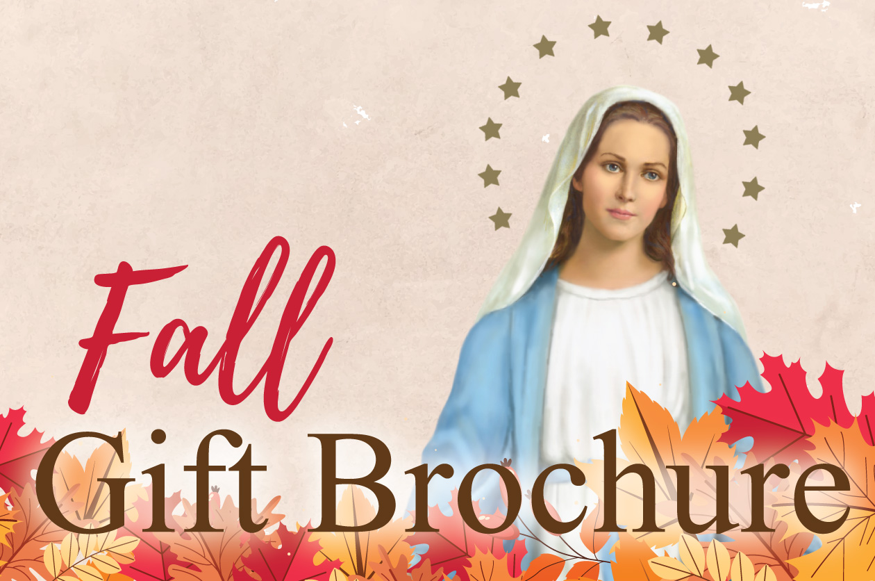 2023 Fall Gift Brochure