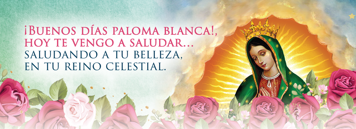 Buenos días paloma blanca,hoy te vengo a saludar.