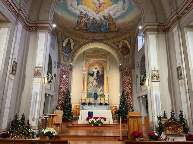 IMG_2638 IMG_2638